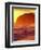 Surfer at Sunset, St Kilda Beach, Dunedin, New Zealand-David Wall-Framed Premium Photographic Print