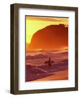 Surfer at Sunset, St Kilda Beach, Dunedin, New Zealand-David Wall-Framed Photographic Print