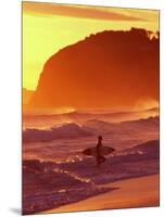 Surfer at Sunset, St Kilda Beach, Dunedin, New Zealand-David Wall-Mounted Photographic Print