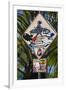 Surfer Crossing Sign, Rincon, PR-George Oze-Framed Photographic Print