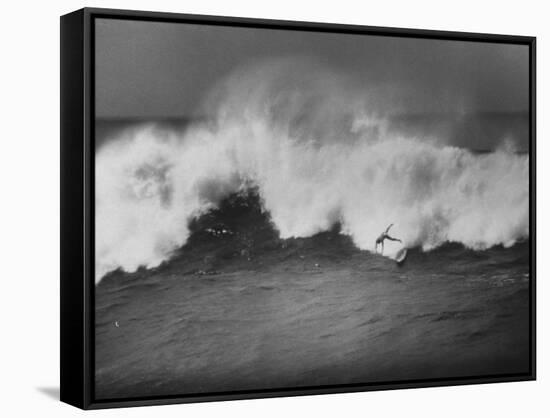 Surfer Fred Van Dyke Riding Giant Wave-George Silk-Framed Stretched Canvas