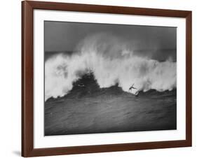 Surfer Fred Van Dyke Riding Giant Wave-George Silk-Framed Photographic Print