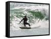 Surfer Goes Right at Tamarack Surf Beach, Carlsbad, California, USA-Nancy & Steve Ross-Framed Stretched Canvas