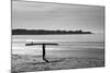 Surfer Holding Board Newport Rhode Island-null-Mounted Photo