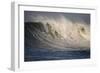 Surfer In Santa Cruz, California-Rebecca Gaal-Framed Photographic Print
