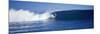 Surfer in the Sea, Tahiti, French Polynesia-null-Mounted Photographic Print