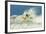 Surfer on Shortboard Riding Wave at Popular Playa Guiones Surf Beach-Rob Francis-Framed Photographic Print