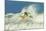 Surfer on Shortboard Riding Wave at Popular Playa Guiones Surf Beach-Rob Francis-Mounted Photographic Print