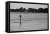 Surfer Paddling Shelter Island NY-null-Framed Stretched Canvas