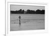 Surfer Paddling Shelter Island NY-null-Framed Photo