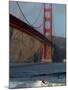 Surfer Rides a Wave Near the Golden Gate Bridge in San Francisco-null-Mounted Photographic Print