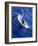 Surfer Riding a Wave-David Pu'u-Framed Photographic Print