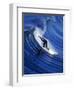 Surfer Riding a Wave-David Pu'u-Framed Photographic Print