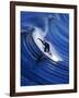 Surfer Riding a Wave-David Pu'u-Framed Photographic Print