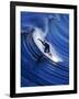 Surfer Riding a Wave-David Pu'u-Framed Photographic Print