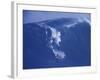 Surfer Riding a Wave-null-Framed Photographic Print