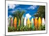 Surfer's Paradise - Hawaii-null-Mounted Art Print