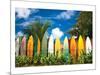 Surfer's Paradise - Hawaii-null-Mounted Art Print