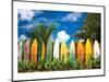 Surfer's Paradise - Hawaii-null-Mounted Art Print