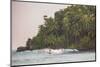 Surfer Surfing at Sunset at Mirissa Beach, South Coast, Sri Lanka, Southern Province, Asia-Matthew Williams-Ellis-Mounted Premium Photographic Print