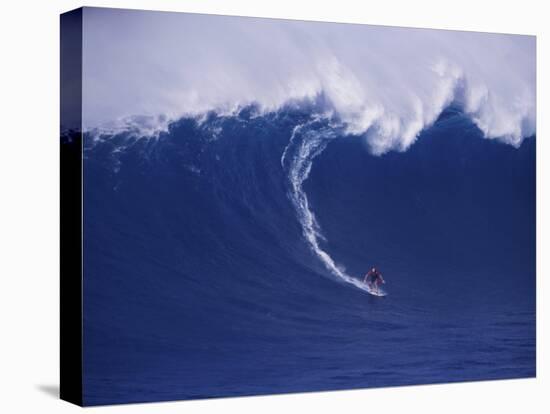 Surfer Surfing-null-Stretched Canvas