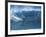 Surfer Surfing-null-Framed Photographic Print