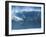 Surfer Surfing-null-Framed Photographic Print