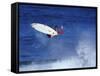 Surfer-null-Framed Stretched Canvas