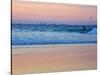 Surfers at Dusk, Gold Coast, Queensland, Australia-David Wall-Stretched Canvas