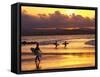 Surfers at Sunset, Gold Coast, Queensland, Australia-David Wall-Framed Stretched Canvas