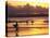 Surfers at Sunset, Gold Coast, Queensland, Australia-David Wall-Stretched Canvas