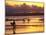 Surfers at Sunset, Gold Coast, Queensland, Australia-David Wall-Mounted Premium Photographic Print