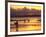 Surfers at Sunset, Gold Coast, Queensland, Australia-David Wall-Framed Photographic Print