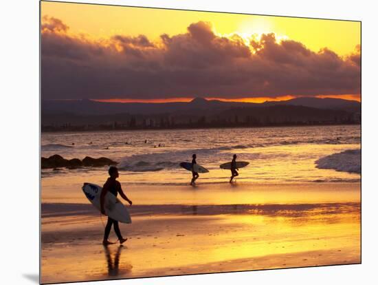 Surfers at Sunset, Gold Coast, Queensland, Australia-David Wall-Mounted Photographic Print