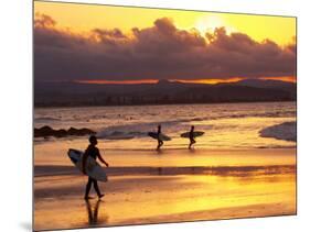 Surfers at Sunset, Gold Coast, Queensland, Australia-David Wall-Mounted Photographic Print