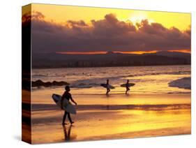 Surfers at Sunset, Gold Coast, Queensland, Australia-David Wall-Stretched Canvas