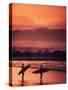 Surfers at Sunset, Oahu, Hawaii-Bill Romerhaus-Stretched Canvas