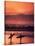 Surfers at Sunset, Oahu, Hawaii-Bill Romerhaus-Stretched Canvas