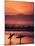 Surfers at Sunset, Oahu, Hawaii-Bill Romerhaus-Mounted Premium Photographic Print