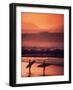 Surfers at Sunset, Oahu, Hawaii-Bill Romerhaus-Framed Photographic Print