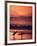 Surfers at Sunset, Oahu, Hawaii-Bill Romerhaus-Framed Photographic Print