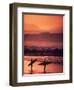 Surfers at Sunset, Oahu, Hawaii-Bill Romerhaus-Framed Premium Photographic Print