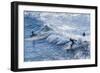 Surfers at the Hookipa Beach Park, Paai, Maui, Hawaii, United States of America, Pacific-Michael Runkel-Framed Photographic Print