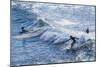 Surfers at the Hookipa Beach Park, Paai, Maui, Hawaii, United States of America, Pacific-Michael Runkel-Mounted Photographic Print
