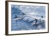 Surfers at the Hookipa Beach Park, Paai, Maui, Hawaii, United States of America, Pacific-Michael Runkel-Framed Photographic Print