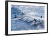 Surfers at the Hookipa Beach Park, Paai, Maui, Hawaii, United States of America, Pacific-Michael Runkel-Framed Photographic Print