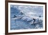 Surfers at the Hookipa Beach Park, Paai, Maui, Hawaii, United States of America, Pacific-Michael Runkel-Framed Photographic Print