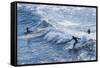 Surfers at the Hookipa Beach Park, Paai, Maui, Hawaii, United States of America, Pacific-Michael Runkel-Framed Stretched Canvas