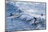 Surfers at the Hookipa Beach Park, Paai, Maui, Hawaii, United States of America, Pacific-Michael Runkel-Mounted Photographic Print