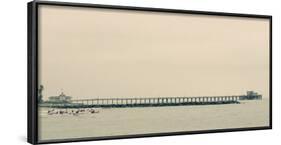 Surfers In Front Of Pier In Newport Beach-Lindsay Daniels-Framed Photographic Print